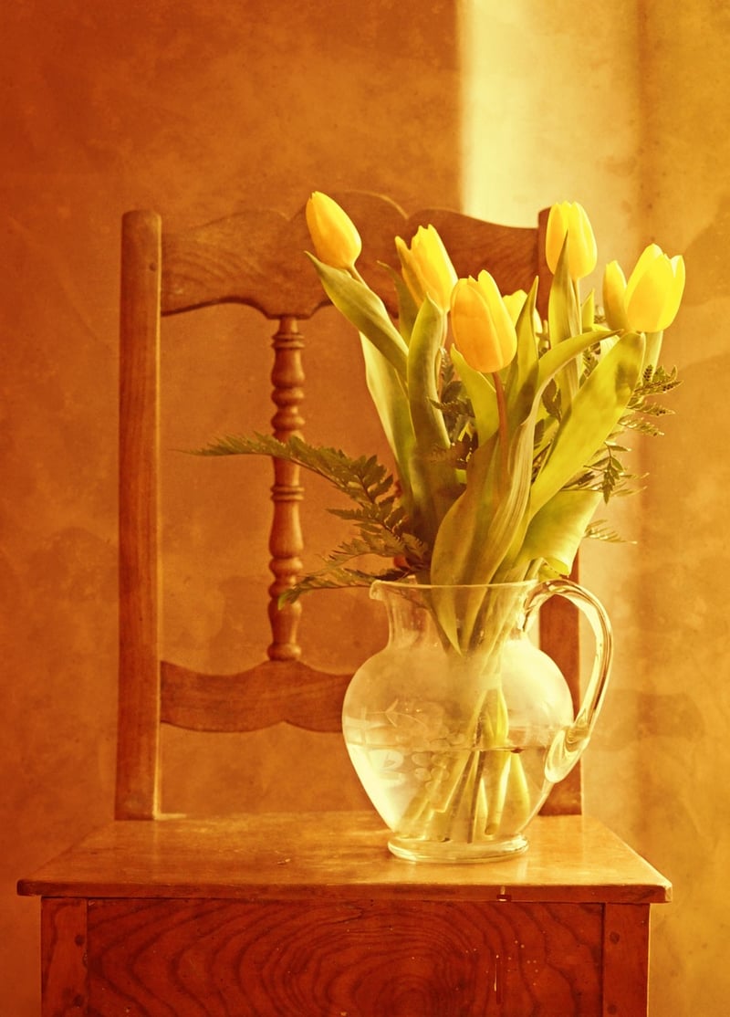 Upcycled chair designs