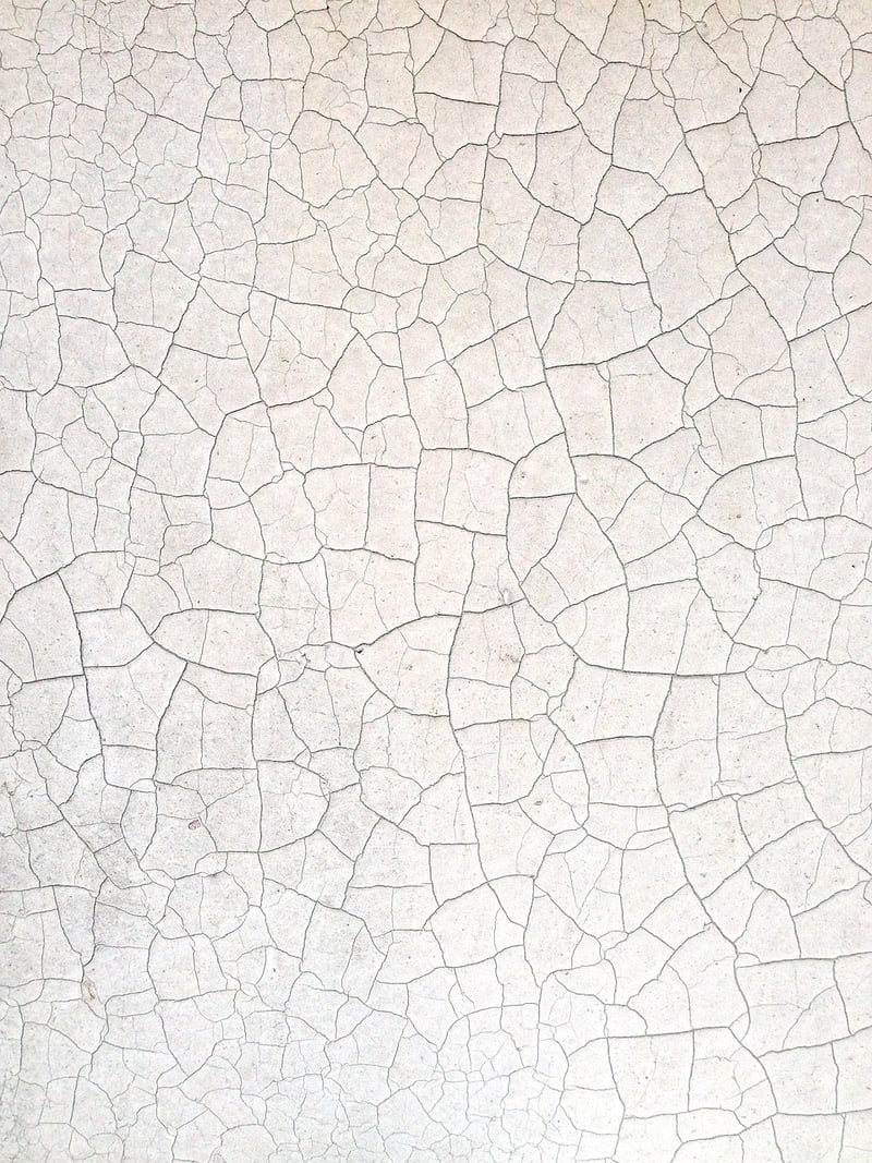 Eco-Friendly Paints